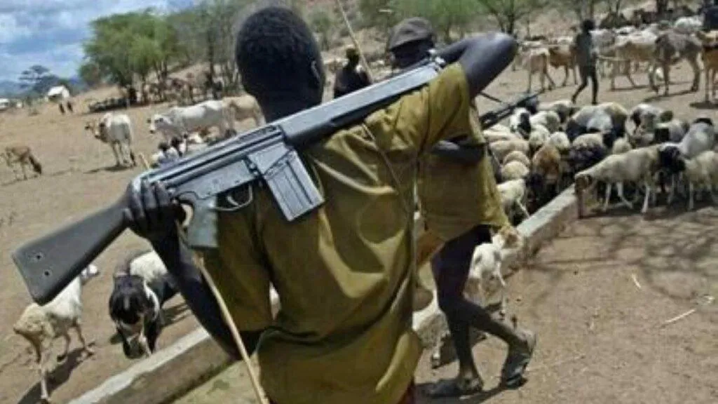 Herdsmen attacks: ‘Enough is enough’, Imo community petitions Tinubu