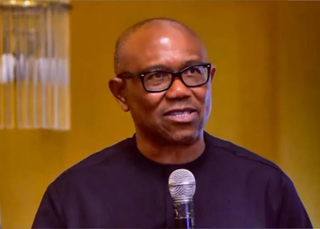 Benue killings failure of leadership, stain on our conscience – Peter Obi