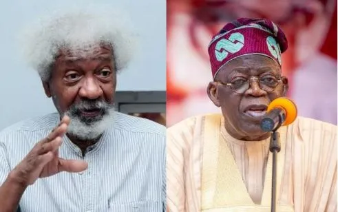 Probe killing of Dele Giwa, Kudirat Abiola, Bola Ige, Soyinka tells Tinubu