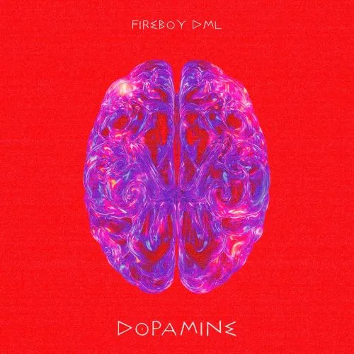 Fireboy DML - Dopamine